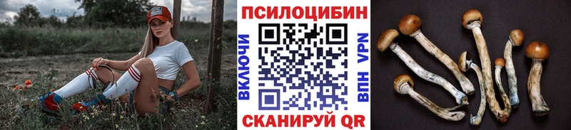 Псилоцибиновые грибы GOLDEN TEACHER  Княгинино 